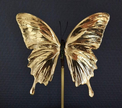Artwork - Unieke 23kt bladgoud vergulde Ulysses vlinder - JungleHome